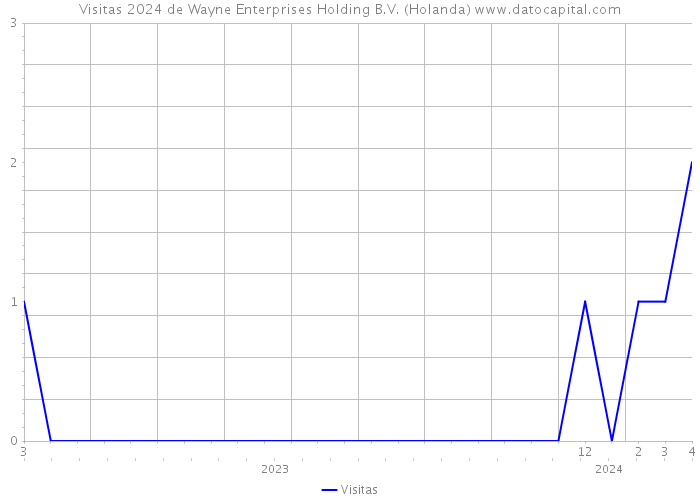 Visitas 2024 de Wayne Enterprises Holding B.V. (Holanda) 