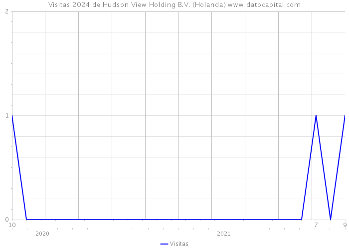 Visitas 2024 de Hudson View Holding B.V. (Holanda) 
