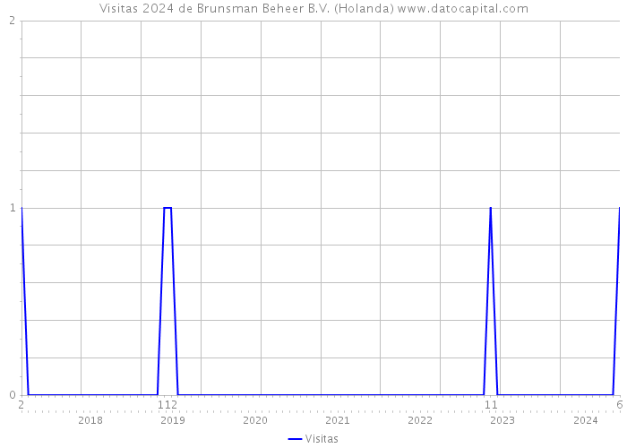 Visitas 2024 de Brunsman Beheer B.V. (Holanda) 