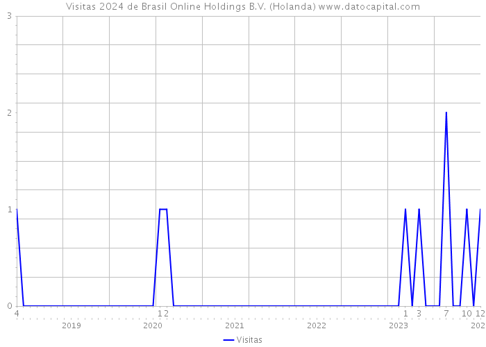 Visitas 2024 de Brasil Online Holdings B.V. (Holanda) 