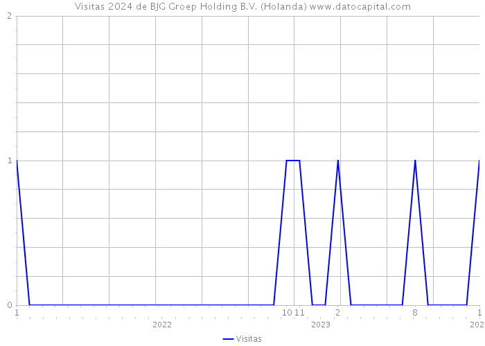 Visitas 2024 de BJG Groep Holding B.V. (Holanda) 