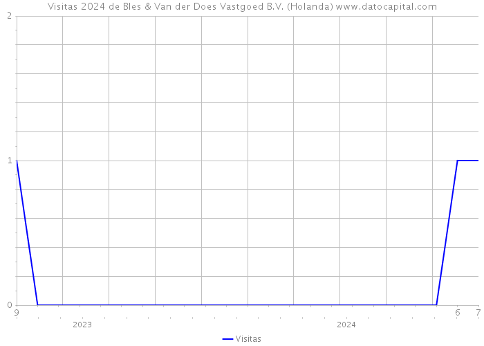 Visitas 2024 de Bles & Van der Does Vastgoed B.V. (Holanda) 