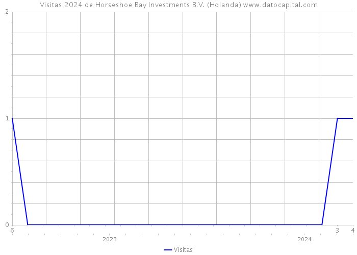 Visitas 2024 de Horseshoe Bay Investments B.V. (Holanda) 