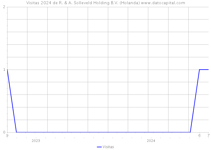 Visitas 2024 de R. & A. Solleveld Holding B.V. (Holanda) 