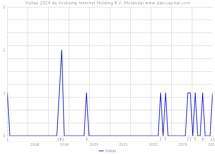 Visitas 2024 de Voskamp Internet Holding B.V. (Holanda) 