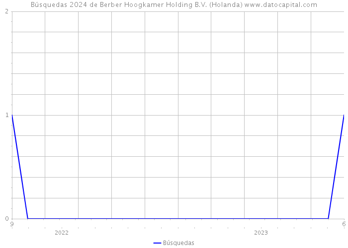 Búsquedas 2024 de Berber Hoogkamer Holding B.V. (Holanda) 