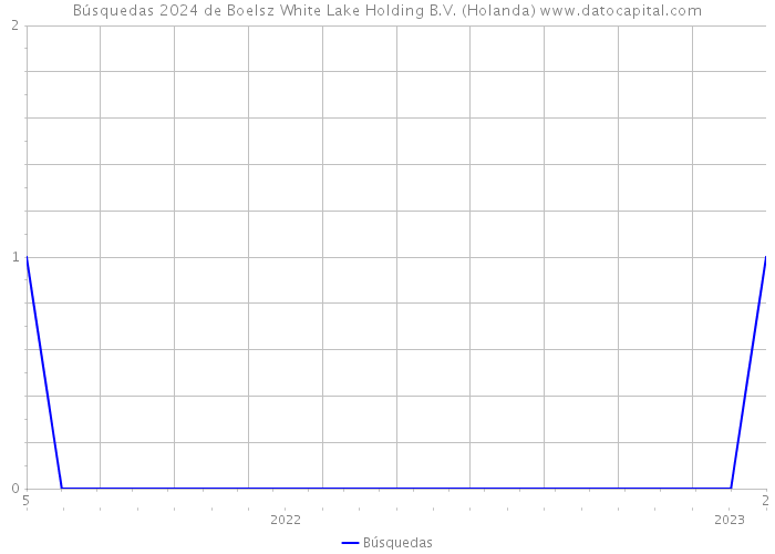 Búsquedas 2024 de Boelsz White Lake Holding B.V. (Holanda) 