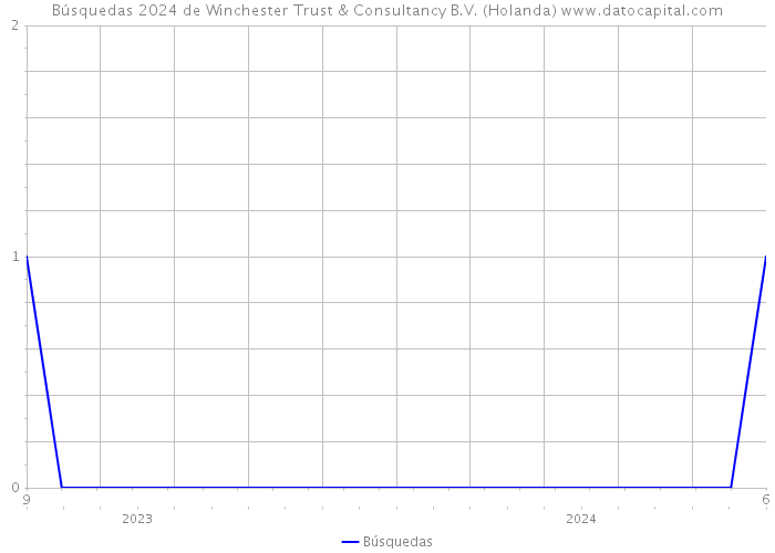 Búsquedas 2024 de Winchester Trust & Consultancy B.V. (Holanda) 