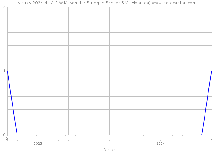 Visitas 2024 de A.P.W.M. van der Bruggen Beheer B.V. (Holanda) 