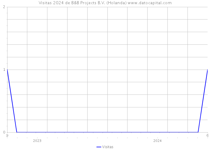 Visitas 2024 de B&B Projects B.V. (Holanda) 