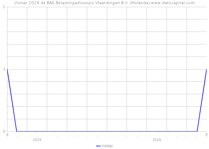 Visitas 2024 de B&K Belastingadviseurs Vlaardingen B.V. (Holanda) 