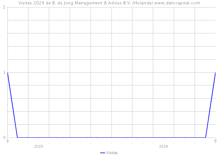 Visitas 2024 de B. de Jong Management & Advies B.V. (Holanda) 