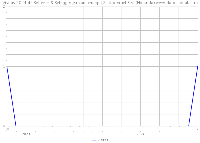 Visitas 2024 de Beheer- & Beleggingsmaatschappij Zaltbommel B.V. (Holanda) 