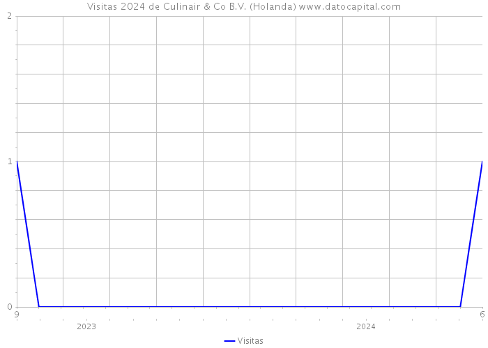 Visitas 2024 de Culinair & Co B.V. (Holanda) 