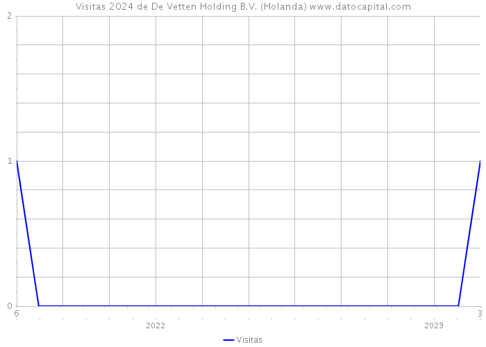 Visitas 2024 de De Vetten Holding B.V. (Holanda) 
