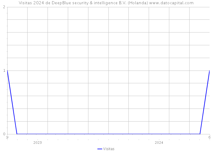 Visitas 2024 de DeepBlue security & intelligence B.V. (Holanda) 