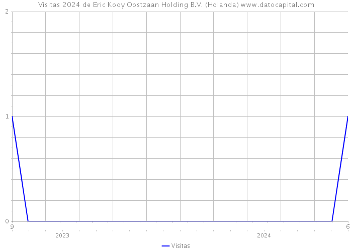 Visitas 2024 de Eric Kooy Oostzaan Holding B.V. (Holanda) 