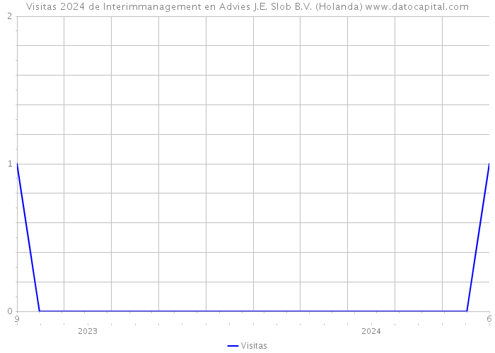 Visitas 2024 de Interimmanagement en Advies J.E. Slob B.V. (Holanda) 