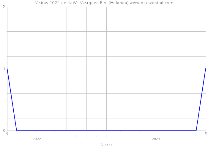 Visitas 2024 de KoWa Vastgoed B.V. (Holanda) 