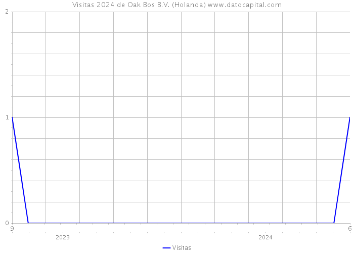 Visitas 2024 de Oak Bos B.V. (Holanda) 