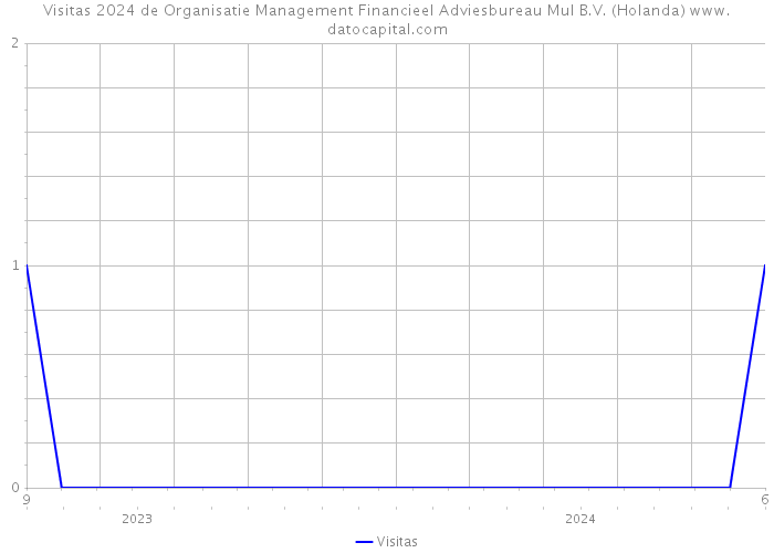 Visitas 2024 de Organisatie Management Financieel Adviesbureau Mul B.V. (Holanda) 