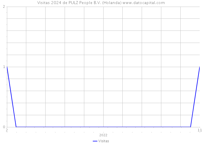 Visitas 2024 de PULZ People B.V. (Holanda) 