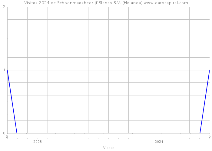 Visitas 2024 de Schoonmaakbedrijf Blanco B.V. (Holanda) 