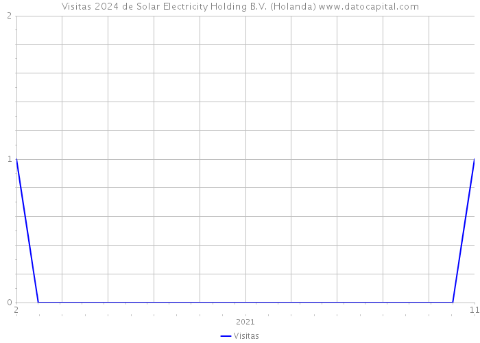 Visitas 2024 de Solar Electricity Holding B.V. (Holanda) 