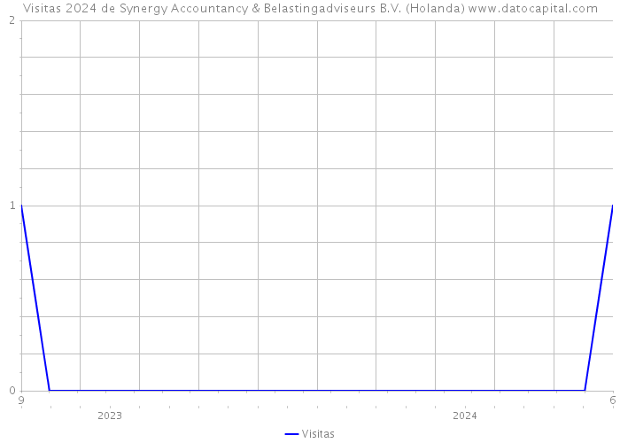 Visitas 2024 de Synergy Accountancy & Belastingadviseurs B.V. (Holanda) 