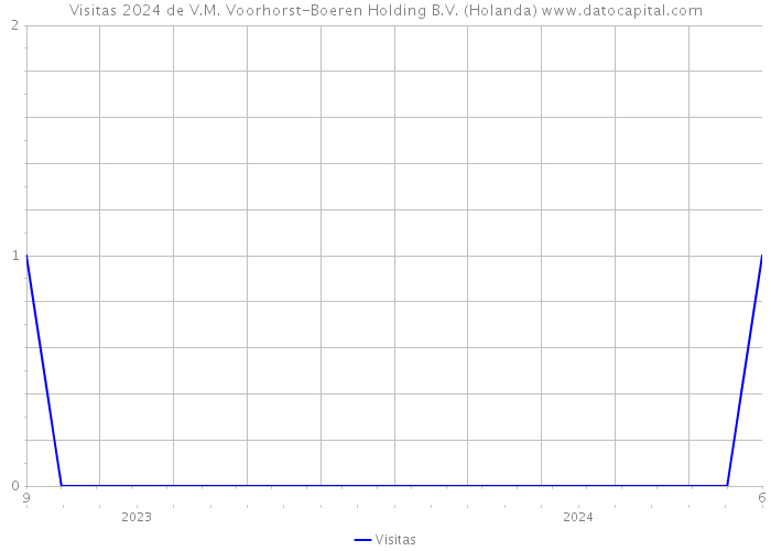 Visitas 2024 de V.M. Voorhorst-Boeren Holding B.V. (Holanda) 