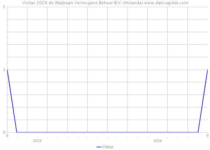 Visitas 2024 de Waijkaan Vermogens Beheer B.V. (Holanda) 