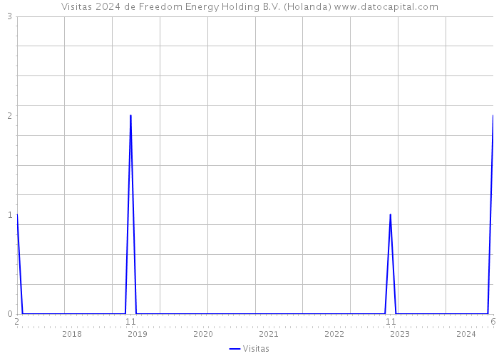 Visitas 2024 de Freedom Energy Holding B.V. (Holanda) 
