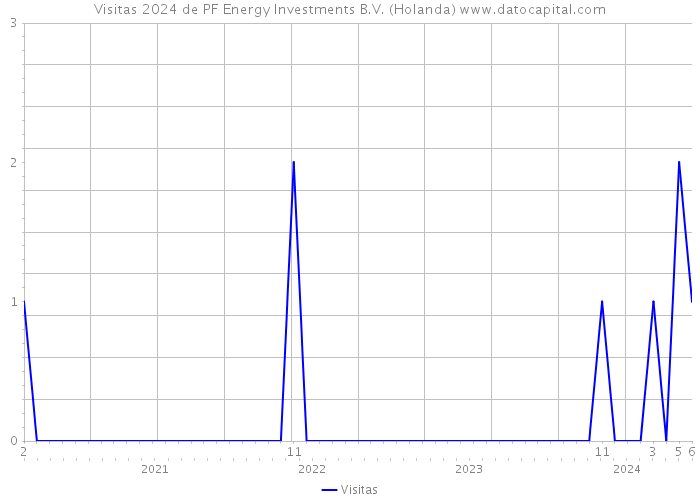 Visitas 2024 de PF Energy Investments B.V. (Holanda) 