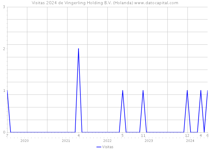 Visitas 2024 de Vingerling Holding B.V. (Holanda) 