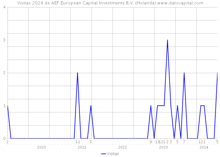 Visitas 2024 de AEF European Capital Investments B.V. (Holanda) 