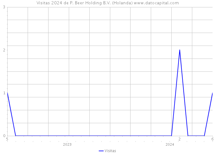 Visitas 2024 de P. Beer Holding B.V. (Holanda) 