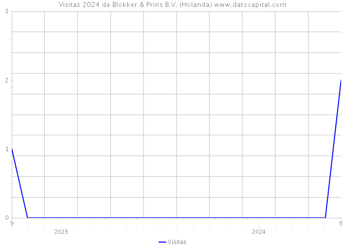 Visitas 2024 de Blokker & Prins B.V. (Holanda) 