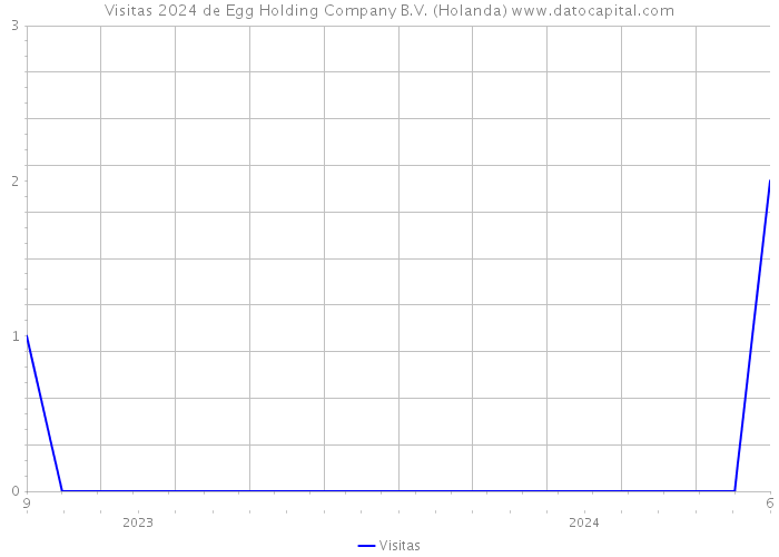 Visitas 2024 de Egg Holding Company B.V. (Holanda) 