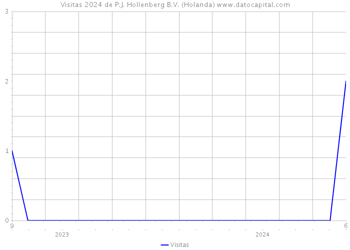 Visitas 2024 de P.J. Hollenberg B.V. (Holanda) 