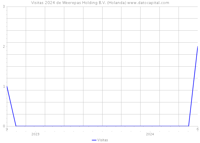 Visitas 2024 de Weerepas Holding B.V. (Holanda) 