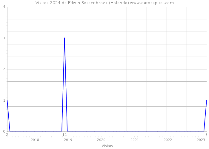 Visitas 2024 de Edwin Bossenbroek (Holanda) 