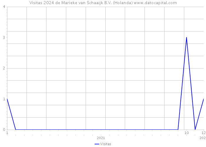 Visitas 2024 de Marieke van Schaaijk B.V. (Holanda) 