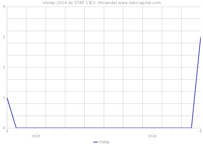 Visitas 2024 de STAP 1 B.V. (Holanda) 
