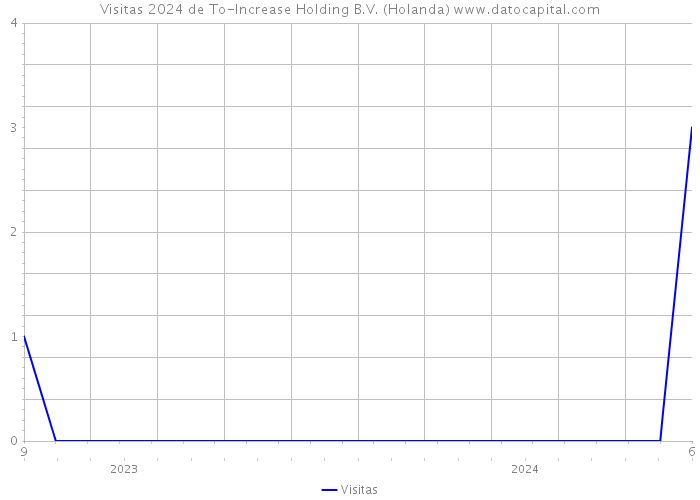 Visitas 2024 de To-Increase Holding B.V. (Holanda) 