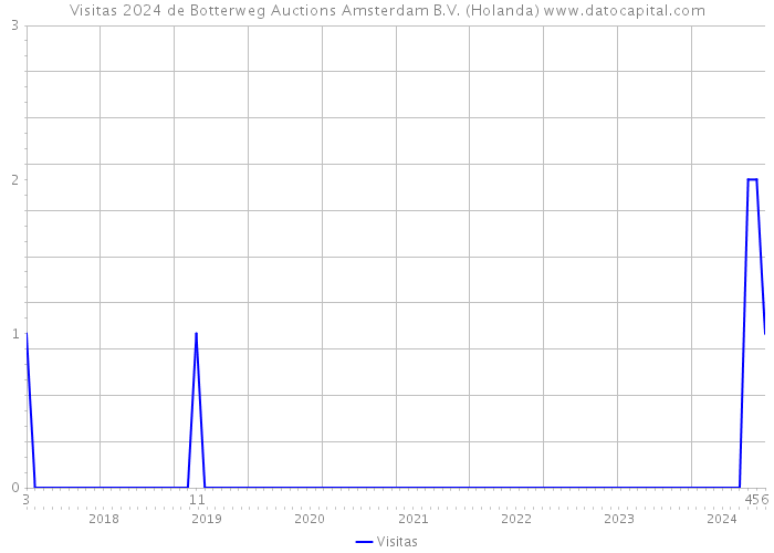 Visitas 2024 de Botterweg Auctions Amsterdam B.V. (Holanda) 