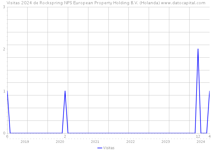 Visitas 2024 de Rockspring NPS European Property Holding B.V. (Holanda) 