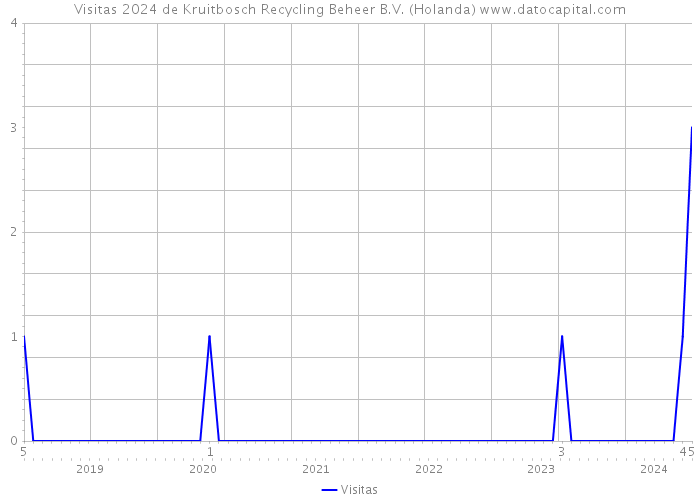 Visitas 2024 de Kruitbosch Recycling Beheer B.V. (Holanda) 