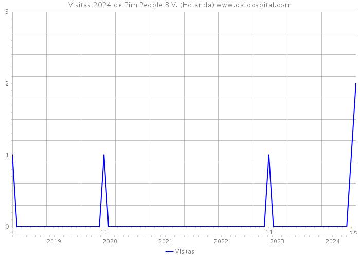 Visitas 2024 de Pim People B.V. (Holanda) 