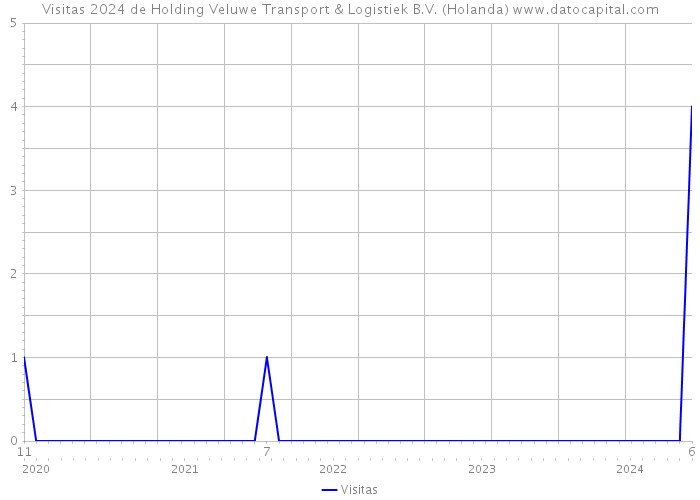 Visitas 2024 de Holding Veluwe Transport & Logistiek B.V. (Holanda) 