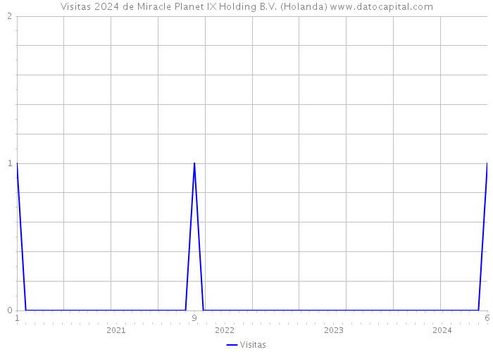 Visitas 2024 de Miracle Planet IX Holding B.V. (Holanda) 